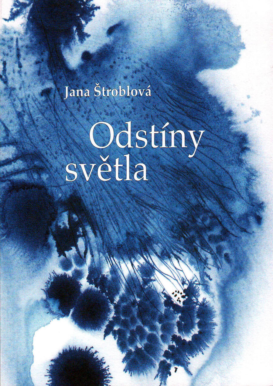 2018 - Odstíny světla