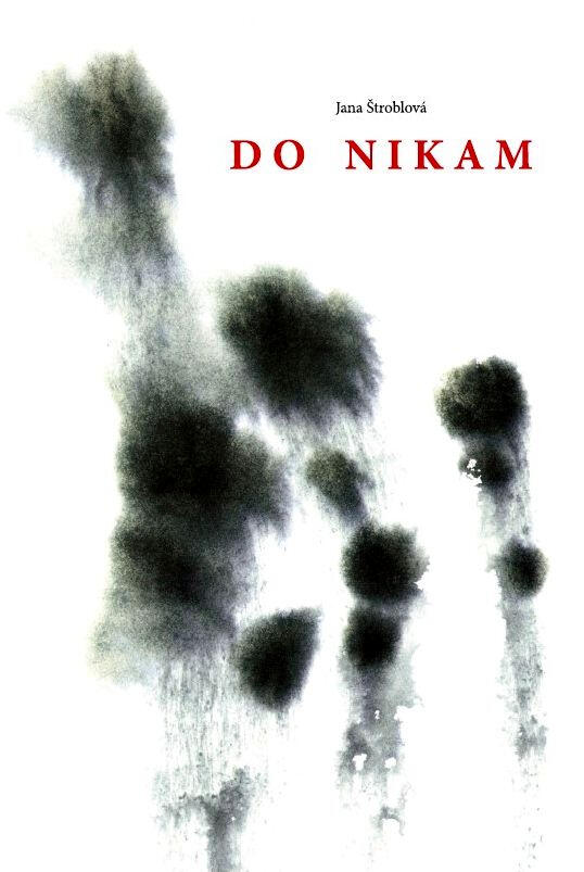 2019 - Do nikam